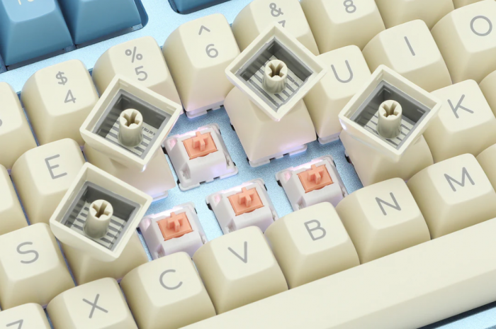 Verwendet werden Customschalter und dicke Doubleshot-Keycaps. (Bild: Drop/Screenshot: Golem.de)